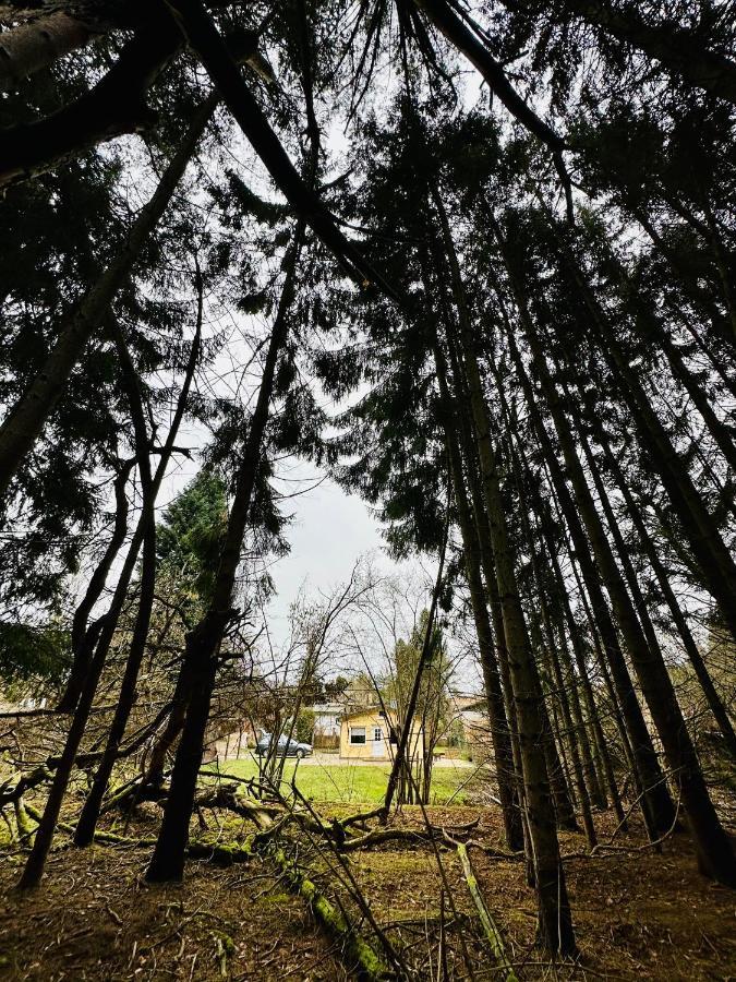 Ferienhaus Biber Godendorf  外观 照片
